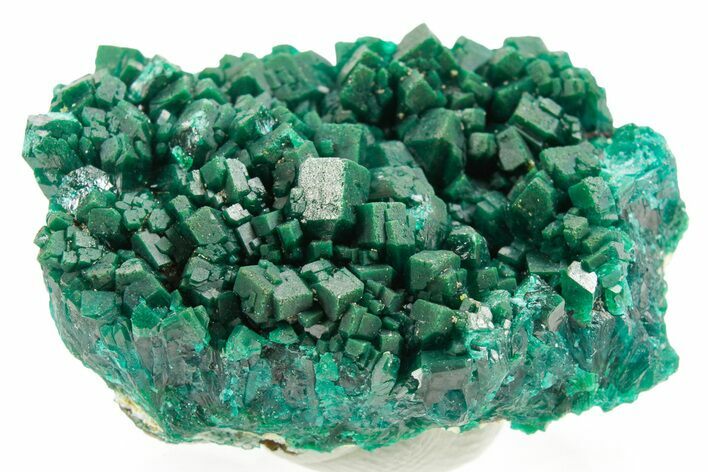 Dioptase Crystal Cluster on Blue Plancheite - Congo #366016
